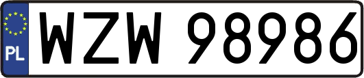 WZW98986