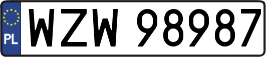 WZW98987