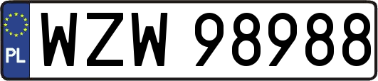 WZW98988
