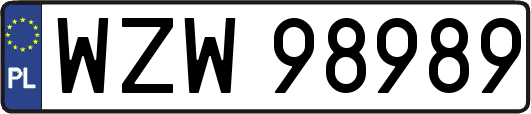 WZW98989