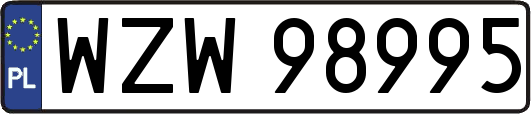 WZW98995