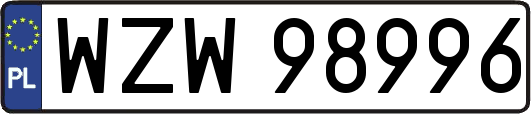 WZW98996