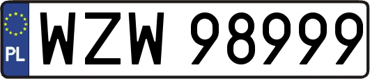WZW98999