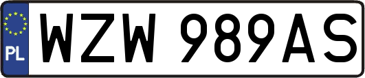 WZW989AS