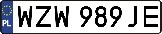WZW989JE
