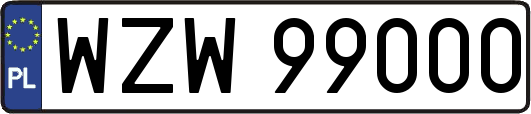 WZW99000