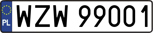 WZW99001