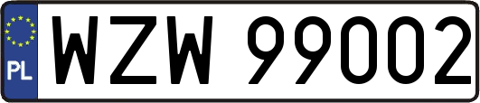 WZW99002