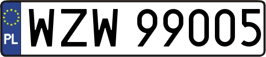 WZW99005