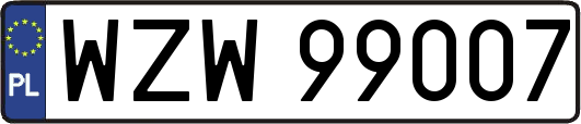 WZW99007