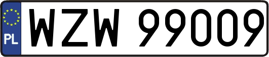 WZW99009