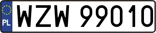 WZW99010