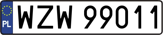 WZW99011