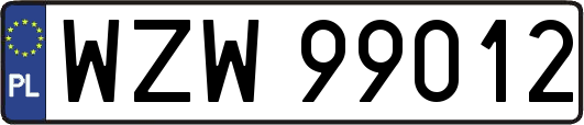 WZW99012