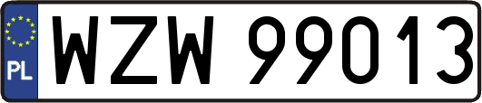WZW99013