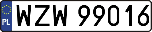 WZW99016