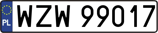 WZW99017