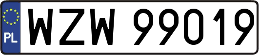 WZW99019