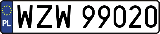 WZW99020