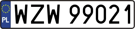WZW99021