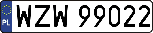 WZW99022