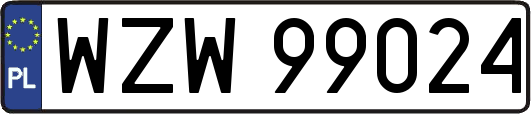 WZW99024