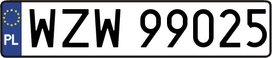 WZW99025
