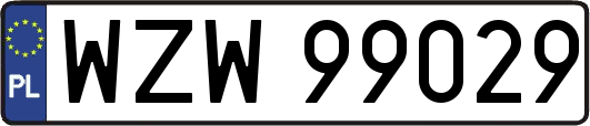 WZW99029