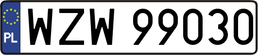 WZW99030