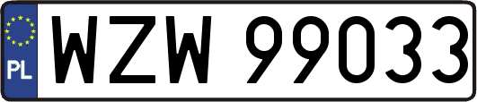 WZW99033