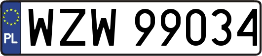 WZW99034