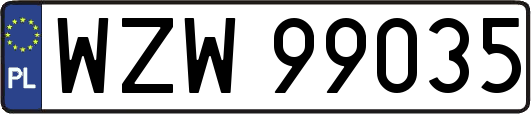 WZW99035