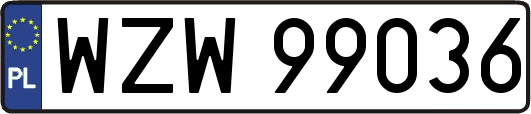 WZW99036