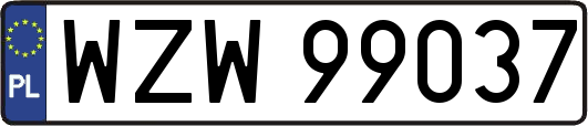 WZW99037