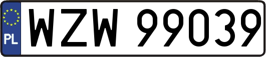 WZW99039