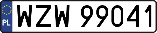 WZW99041