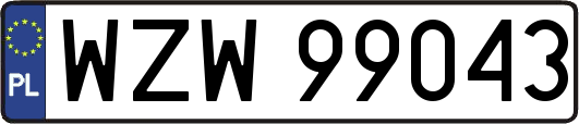 WZW99043