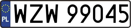 WZW99045