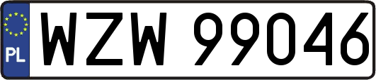 WZW99046