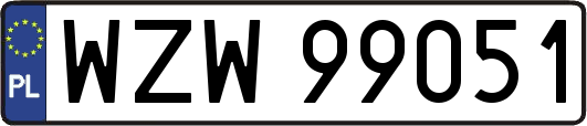 WZW99051