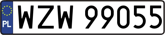WZW99055
