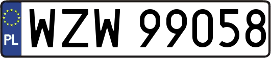 WZW99058