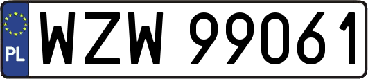 WZW99061