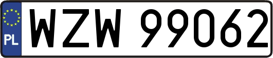 WZW99062