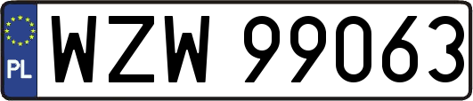 WZW99063