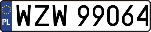 WZW99064