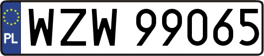 WZW99065