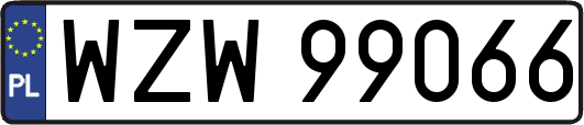 WZW99066