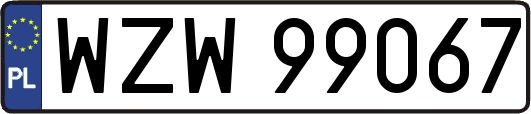 WZW99067