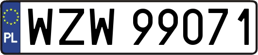 WZW99071